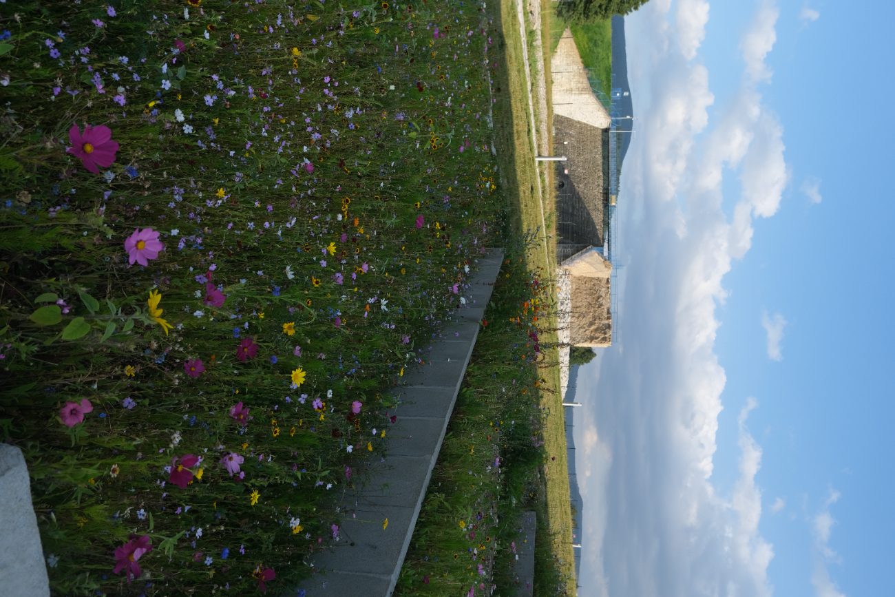 Przywrócili kolory po powodzi