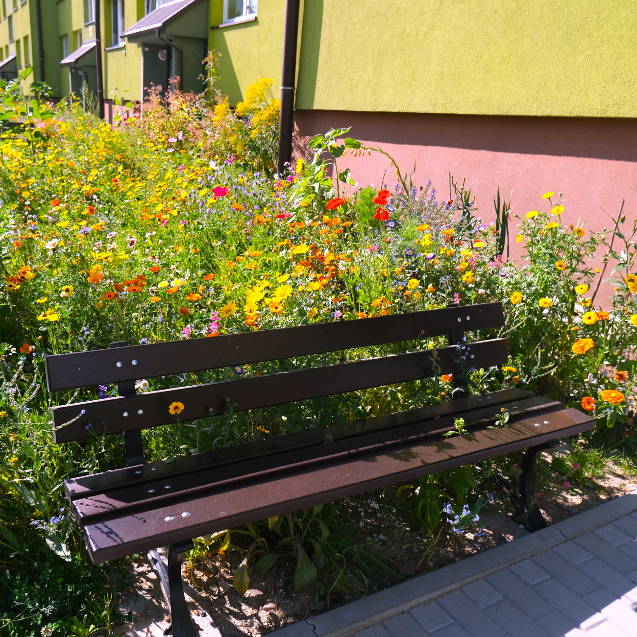 Przywrócili kolory po powodzi