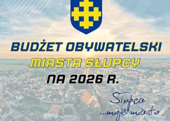 Budżet obywatelski. Znamy wyniki
