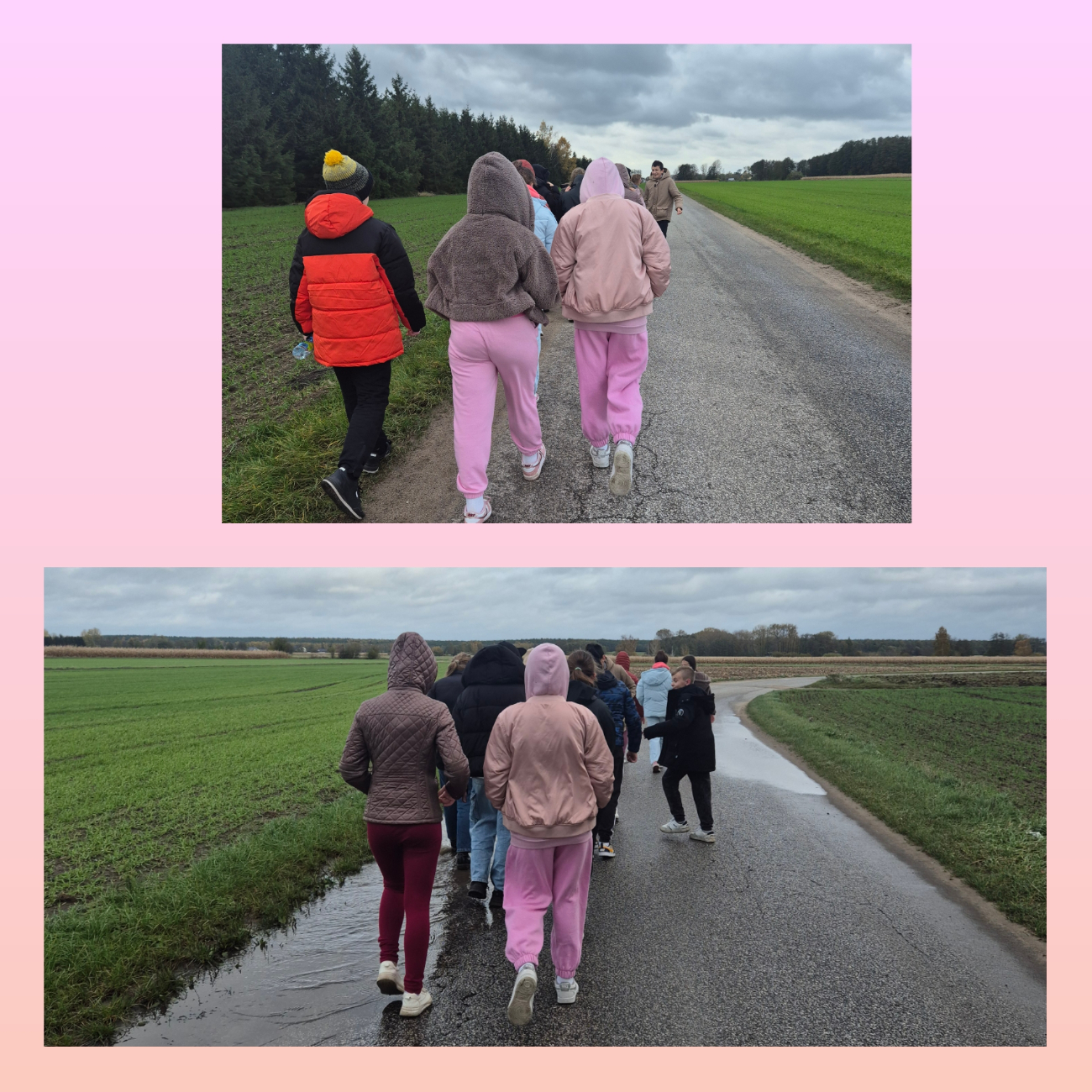 Różowy Październik w Drążnej