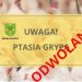 Koniec ptasiej grypy w gminie Słupca