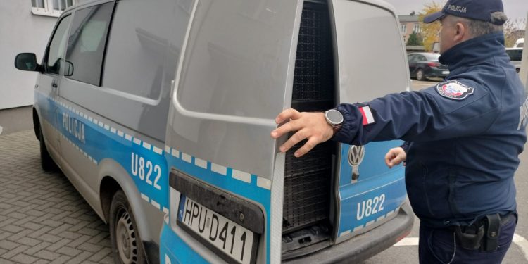 Znaleźli pięciu poszukiwanych. Dwóch trafiło do więzienia