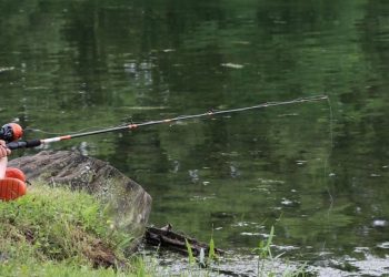 Ma powstać wyjątkowe miejsce. Nie tylko dla wędkarzy