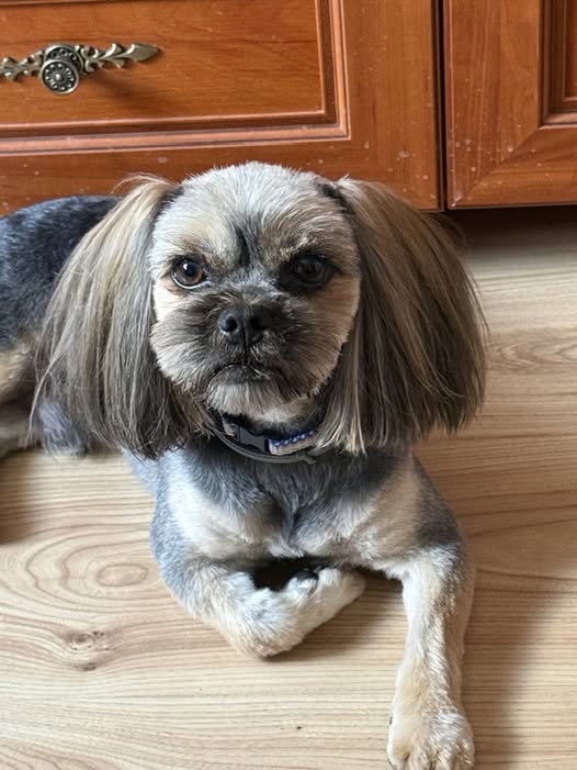 Mikołajki w Samarzewie