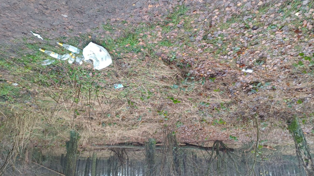 „Las znów został zamieniony w wysypisko”