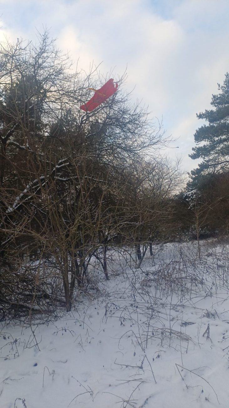 „Las znów został zamieniony w wysypisko”