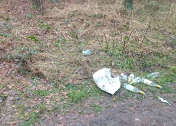 „Las znów został zamieniony w wysypisko”