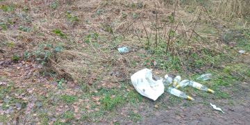 „Las znów został zamieniony w wysypisko”