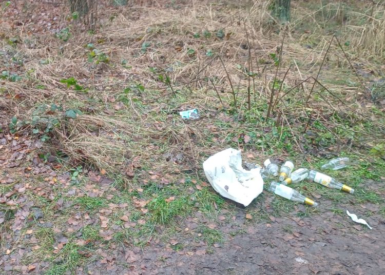 „Las znów został zamieniony w wysypisko”