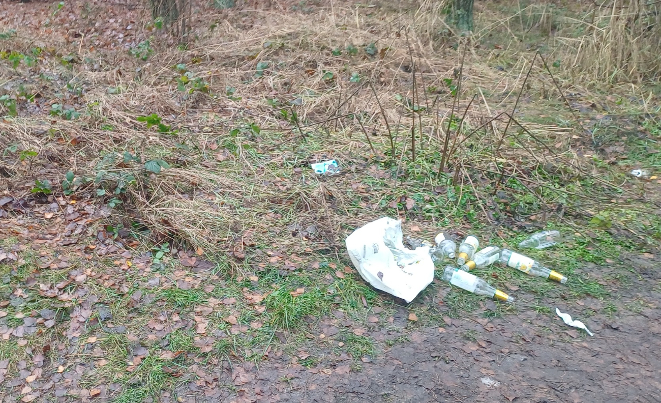 „Las znów został zamieniony w wysypisko”