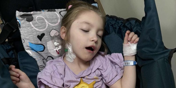 Maja już po operacji