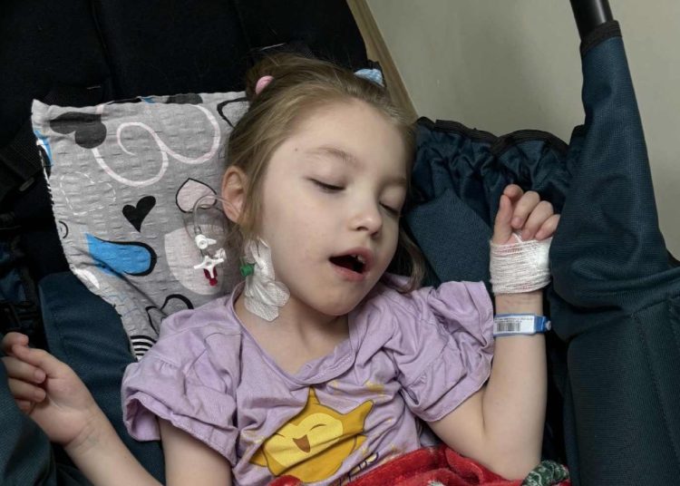 Maja już po operacji