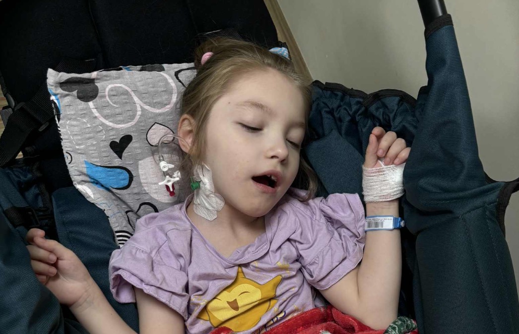 Maja już po operacji