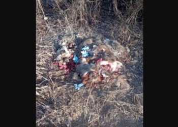 Szokujące znalezisko w Słupcy. Kto to zrobił?