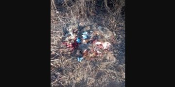 Szokujące znalezisko w Słupcy. Kto to zrobił?