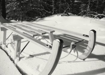 Ostrowite: Zapraszają na kulig