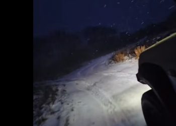 Usłyszeli wołanie o pomoc. Zareagowali wzorowo