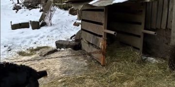 Fundacja nagłośniła sprawę z gminy Strzałkowo. Tak zareagował urząd