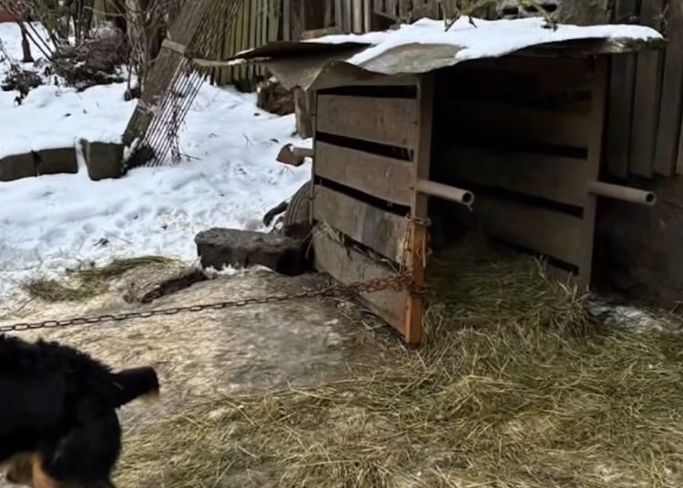 Fundacja nagłośniła sprawę z gminy Strzałkowo. Tak zareagował urząd