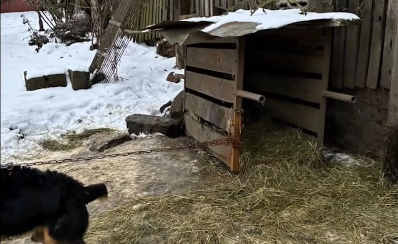 Fundacja nagłośniła sprawę z gminy Strzałkowo. Tak zareagował urząd