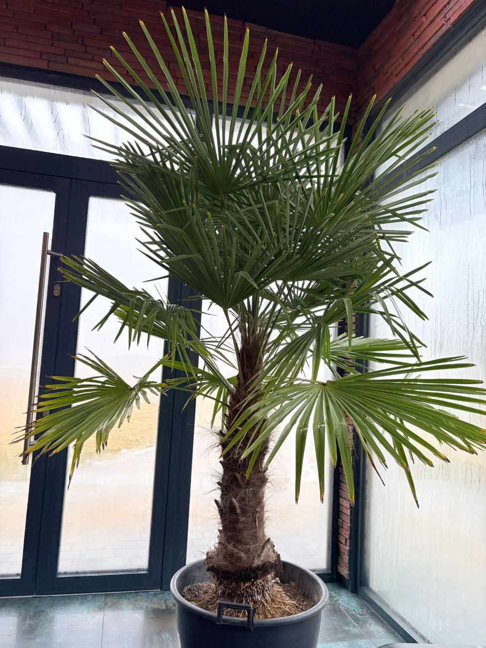 Nowe atrakcje w Ostrowitem. Robią wrażenie