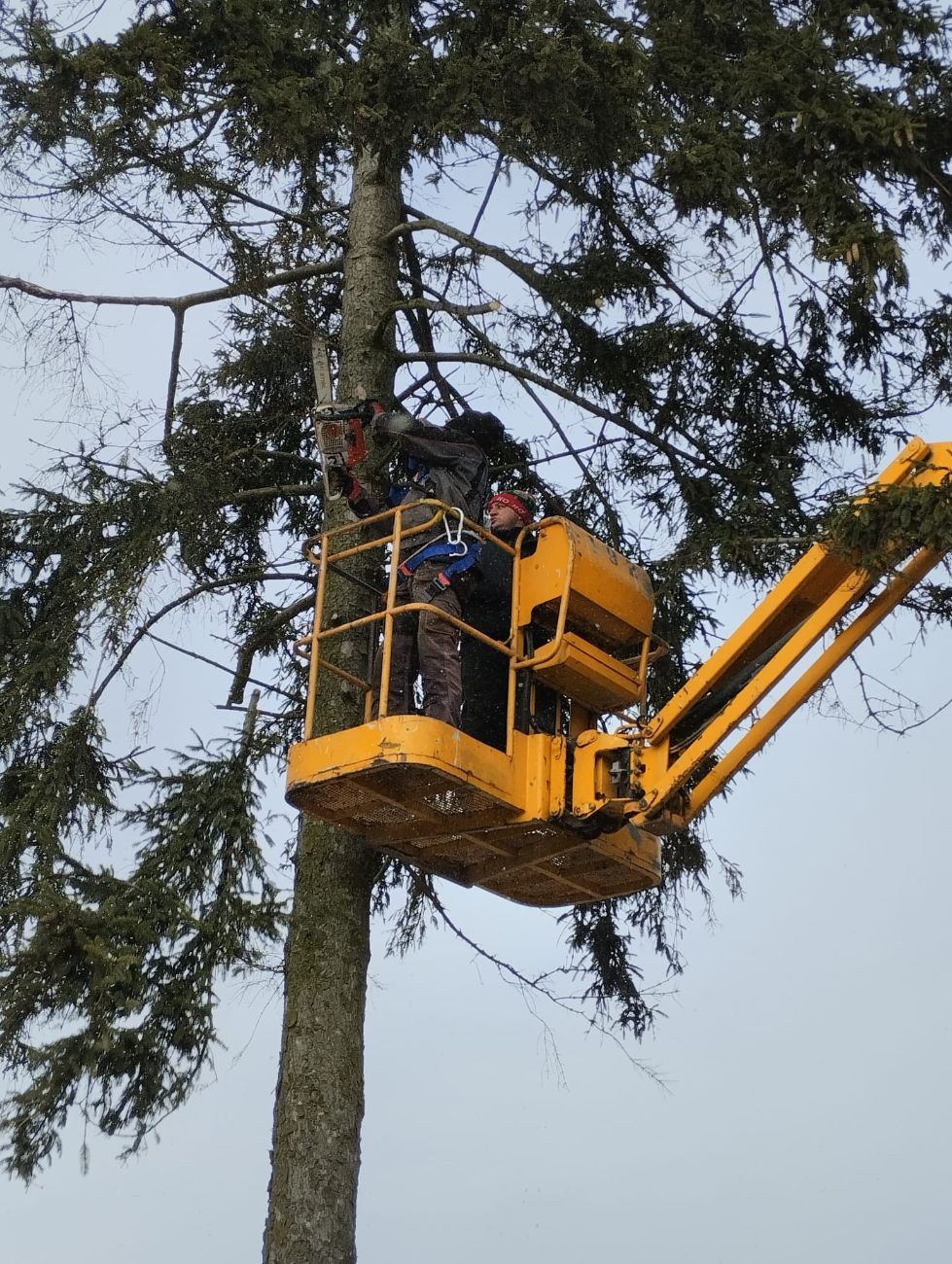 Porządki na cmentarzu w Ciążeniu