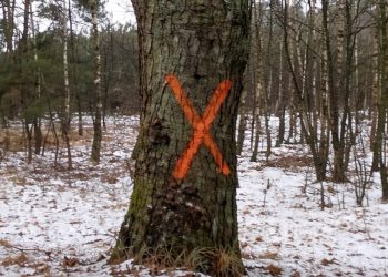 List od czytelników: ORDNUNG PO SŁUPECKU