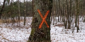 List od czytelników: ORDNUNG PO SŁUPECKU