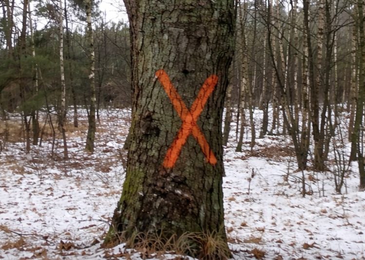 List od czytelników: ORDNUNG PO SŁUPECKU