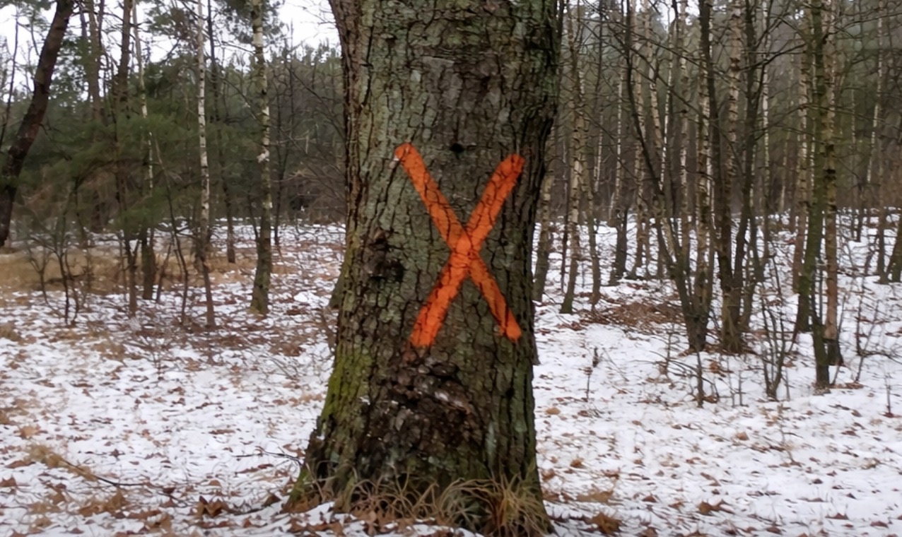 List od czytelników: ORDNUNG PO SŁUPECKU