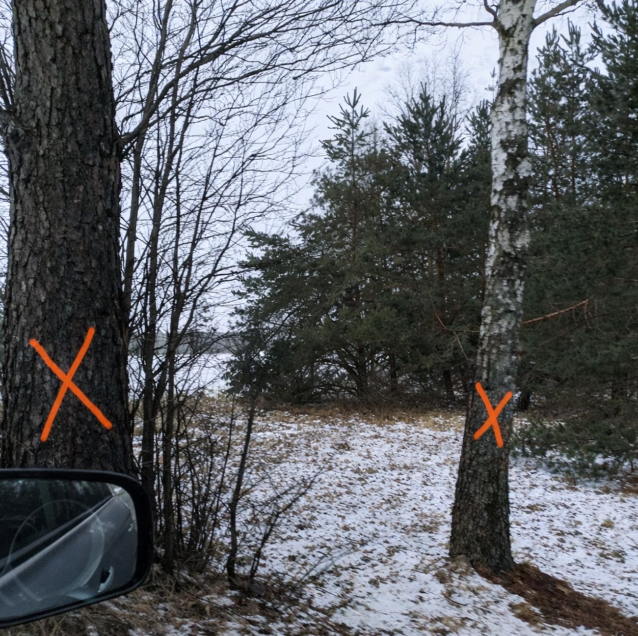 List od czytelników: ORDNUNG PO SŁUPECKU