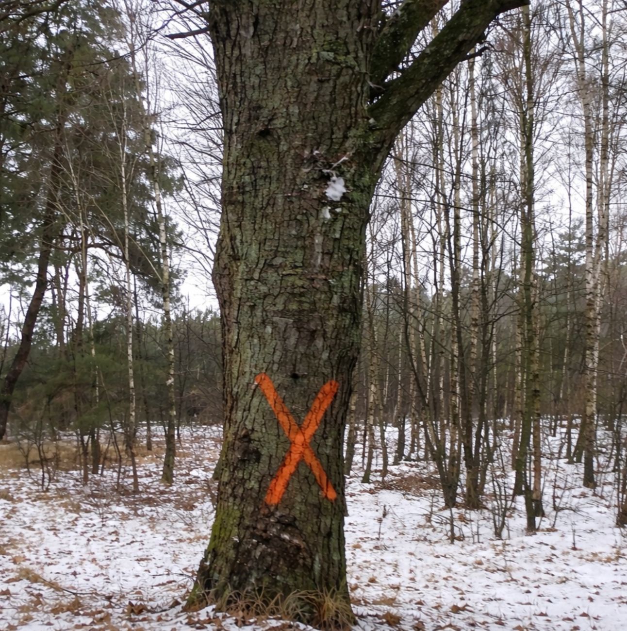 List od czytelników: ORDNUNG PO SŁUPECKU