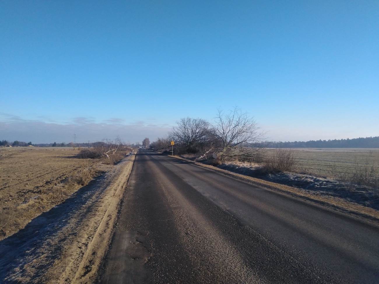 „Żal serce ściska”. Mieszkańcy o wycince drzew pod ścieżkę rowerową