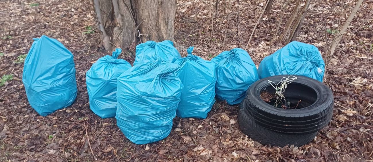 Posprzątali brzeg jeziora