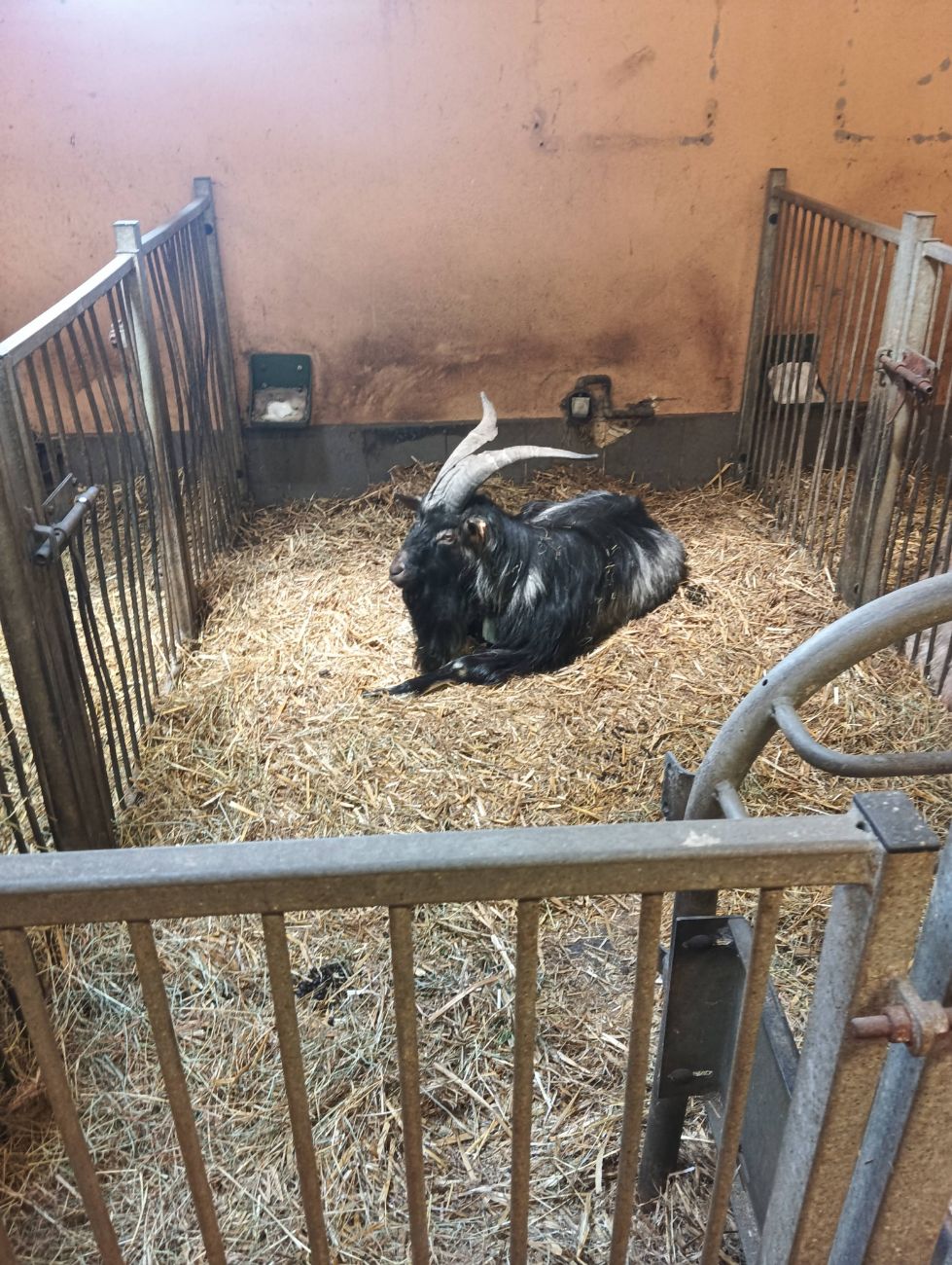 Radny z Dziedzic zaprosił na wycieczkę do Szreniawy