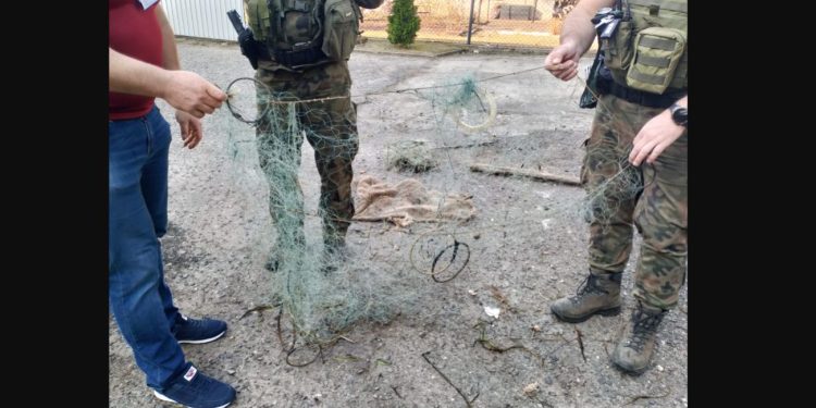 Odpowie za nielegalny połów ryb