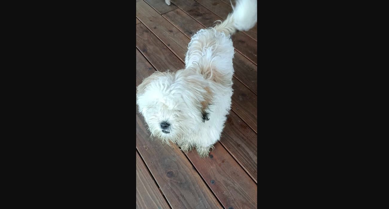 Na pewno go ktoś szuka