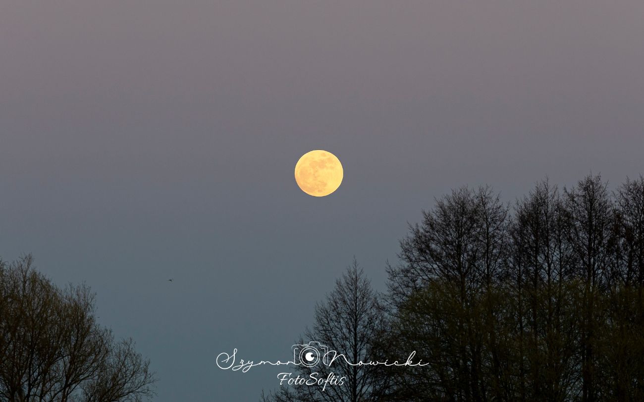 Droga Krzyżowa przeszła ulicami Słupcy. Zobacz zdjęcia
