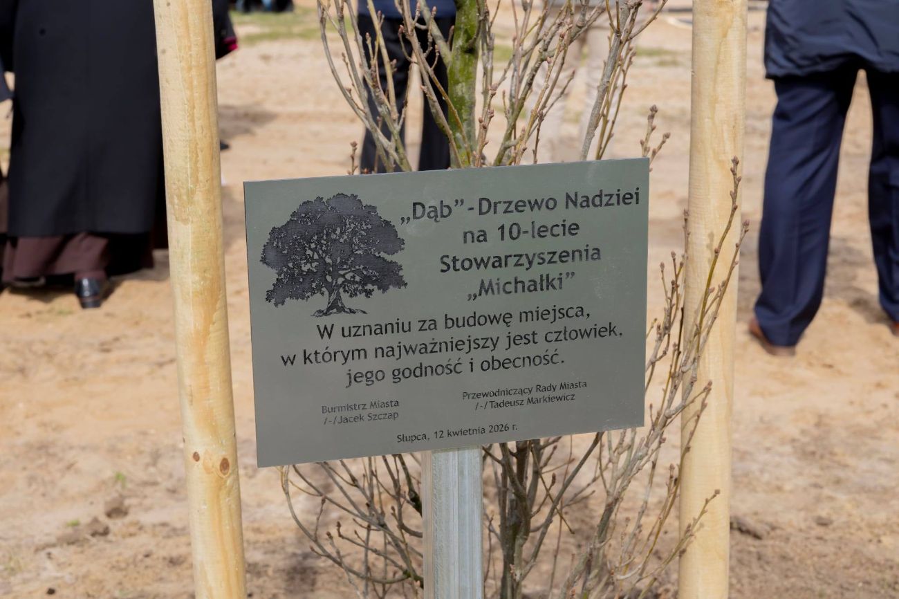 Do kościoła przynieśli… drzewo