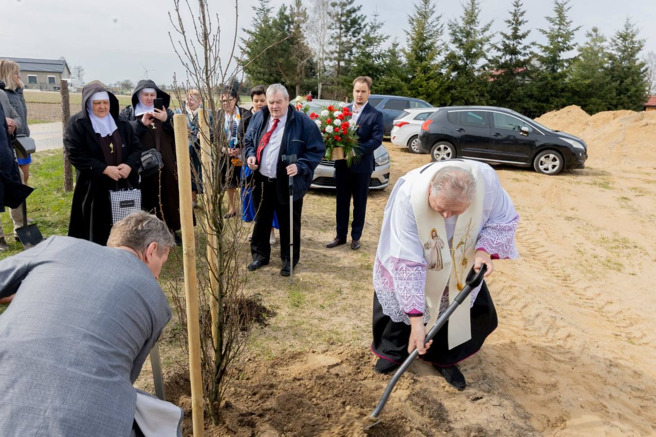 Do kościoła przynieśli… drzewo