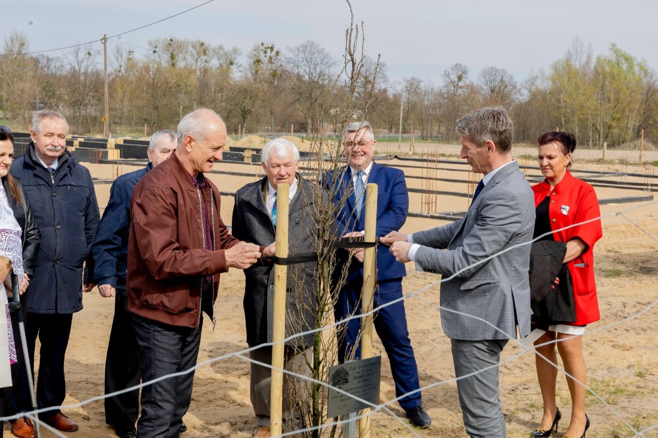 Do kościoła przynieśli… drzewo