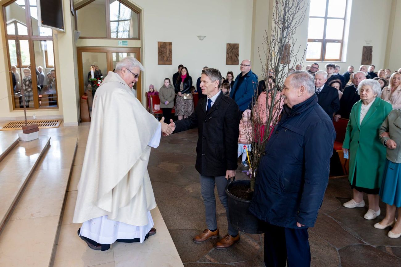 Do kościoła przynieśli… drzewo