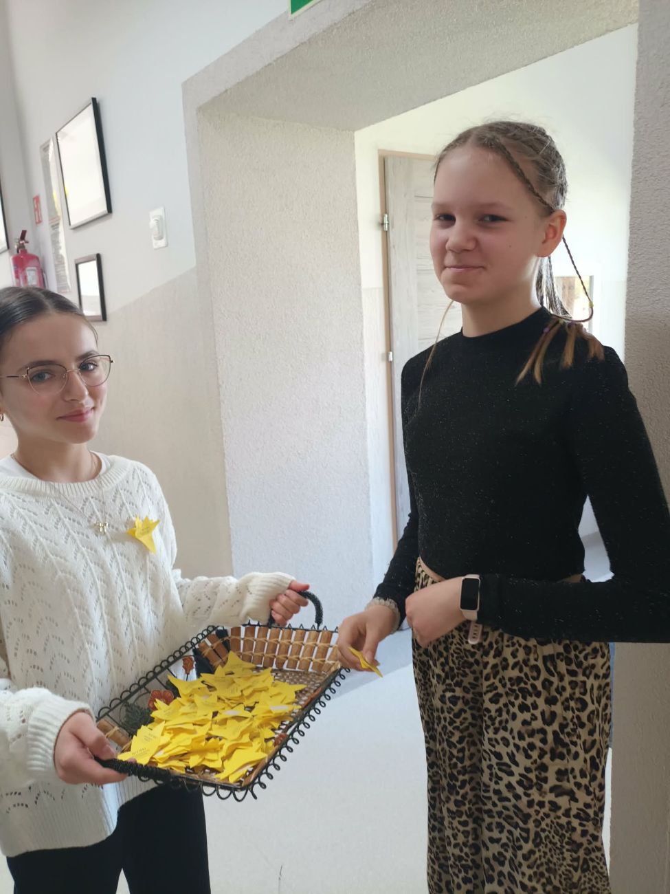 Młodojewo – Akcji Żonkile