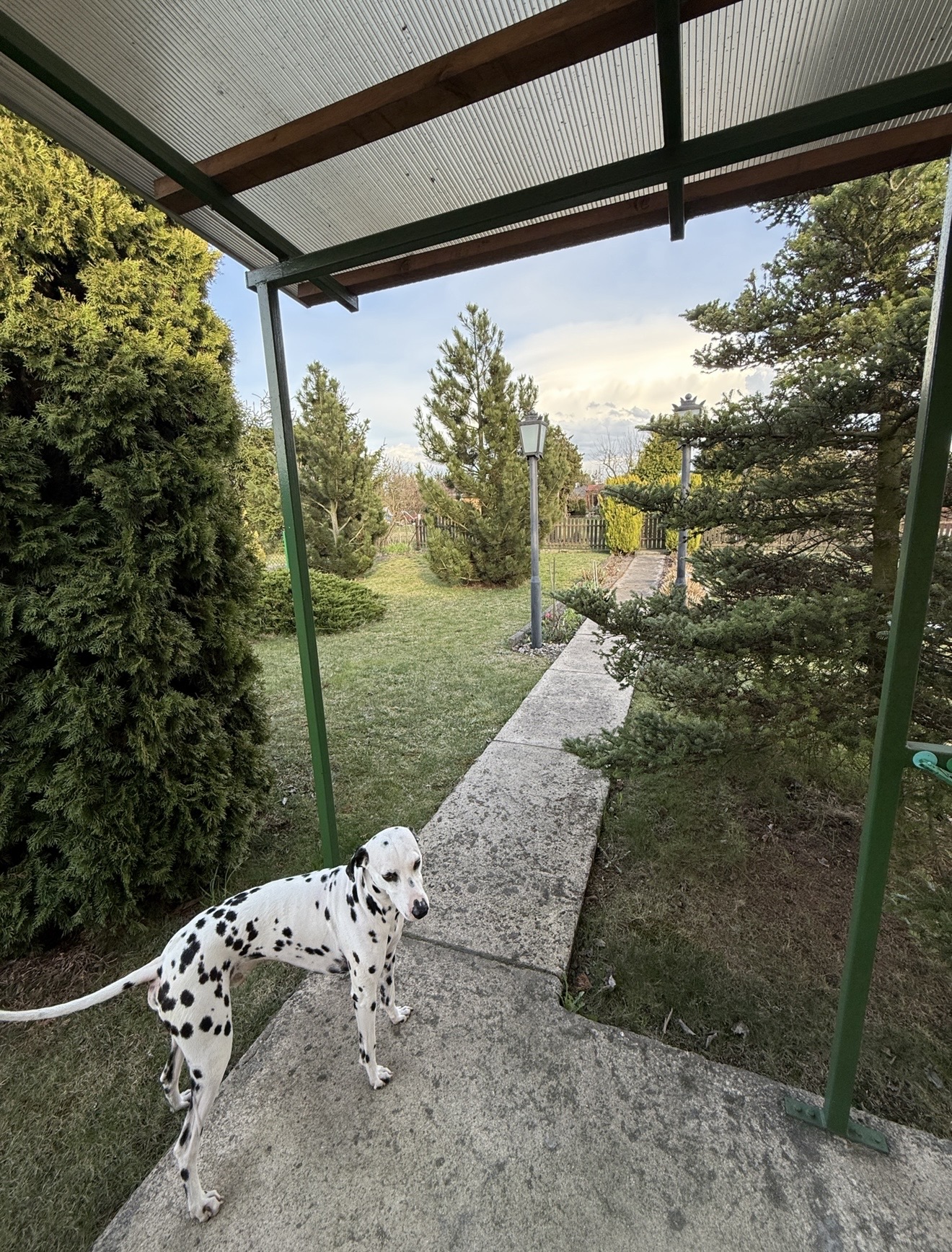 działka ROD R&oacute;ża w Słupcy