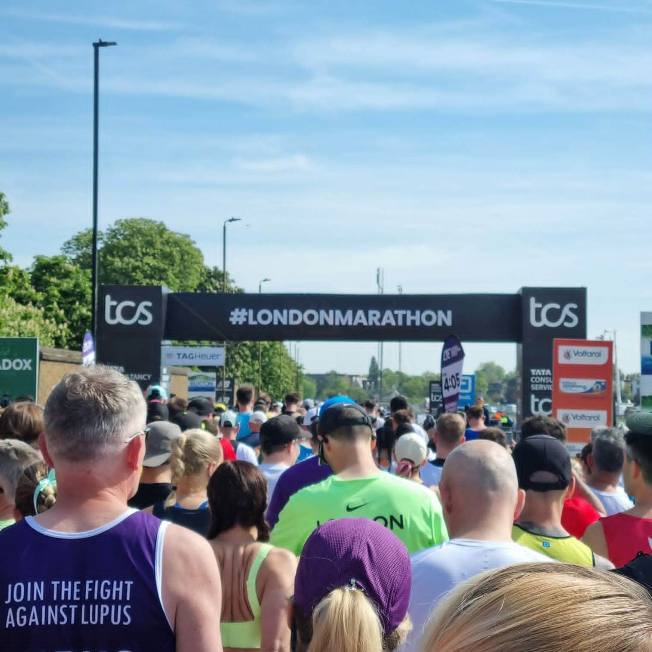 To naprawdę Top of the Top