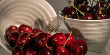 Dlaczego warto sadzić kilka odmian czereśni? Efekt zapylania i większe plony