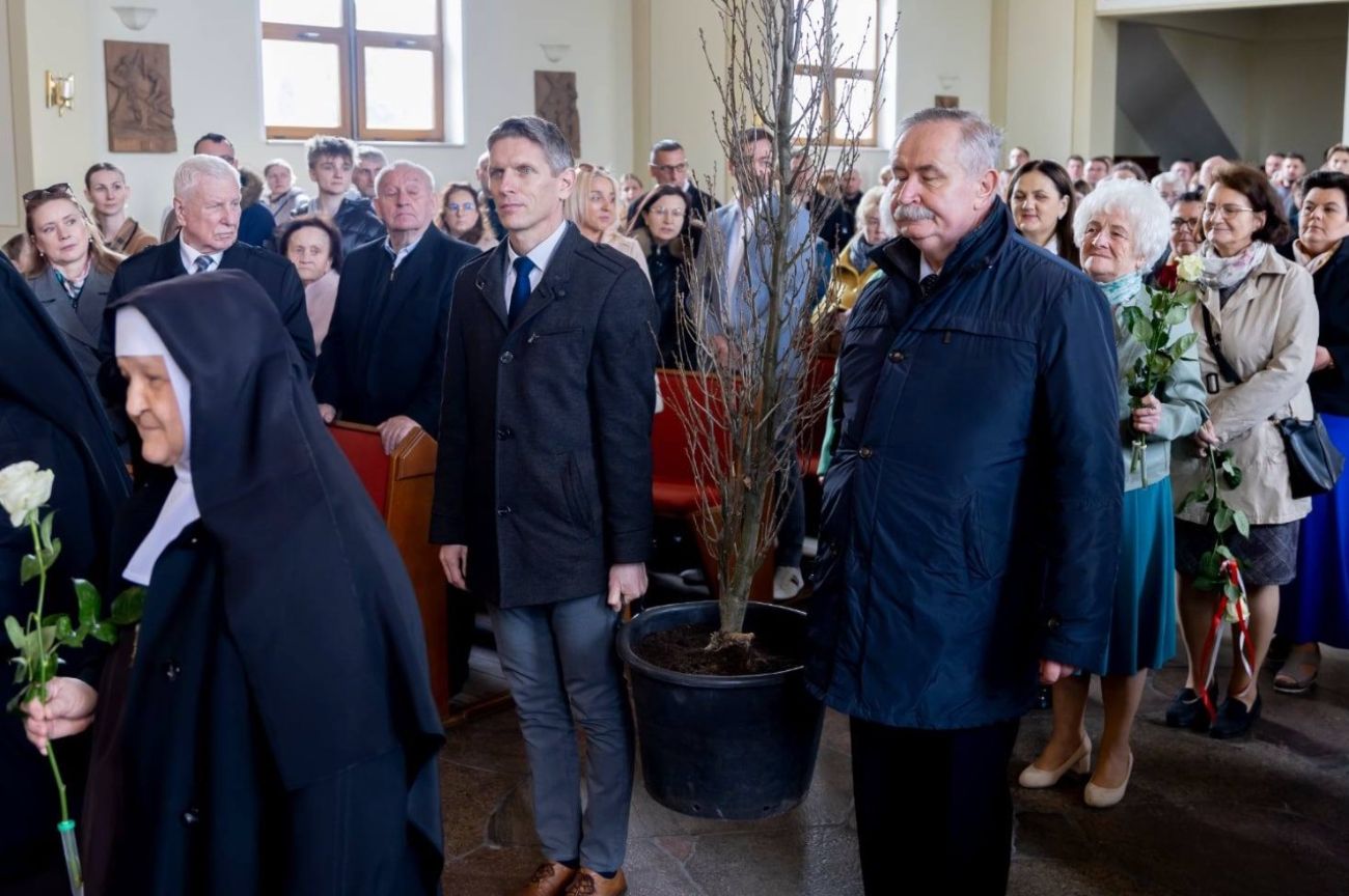 Do kościoła przynieśli… drzewo