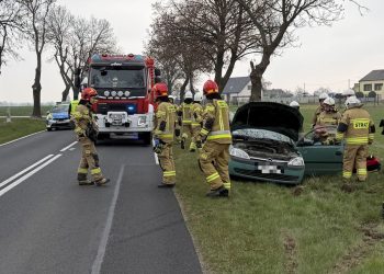 Wypadek na drodze wojewódzkiej. Ucierpiała jedna osoba