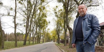 Jemioła niszczy słupeckie drzewa