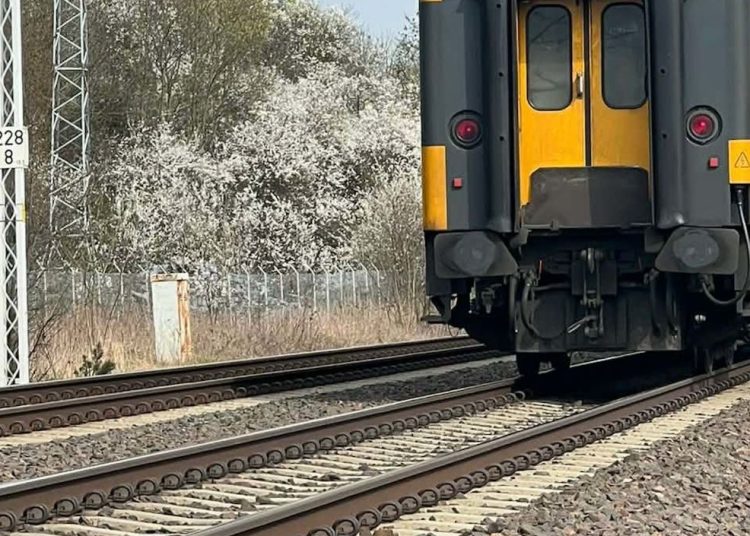 Śmierć na torach. Jak doszło do tragedii?